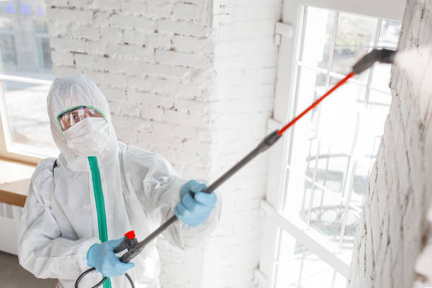 Best Mold Remediation for Healthcare Facilities  in Pierceton, IN