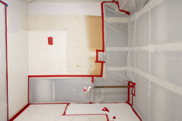 Best Attic Mold Removal  in Pierceton, IN