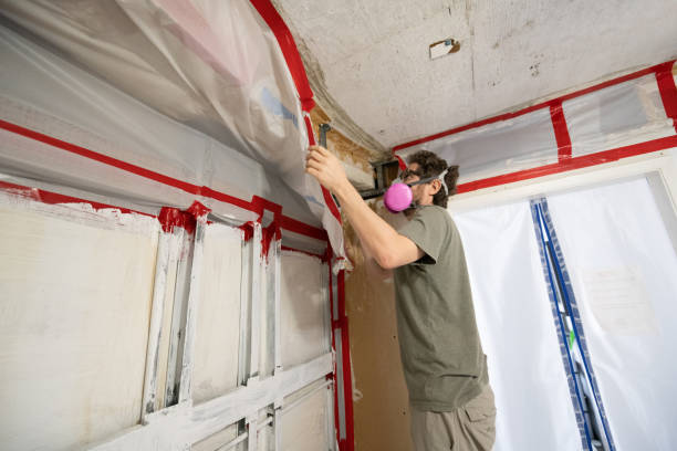 Best Asbestos and Lead Testing During Mold Inspection  in Pierceton, IN