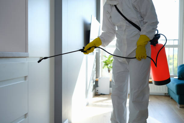 Pierceton, IN Mold Removal Company
