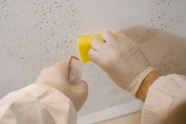 Best Commercial Mold Inspection  in Pierceton, IN