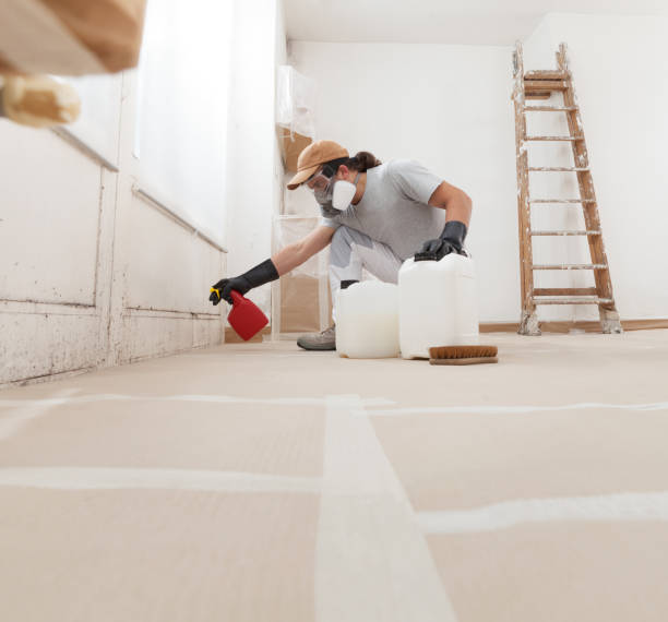 Best Attic Mold Removal  in Pierceton, IN